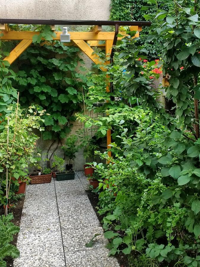 Kleine Apartments Торгау Екстериор снимка